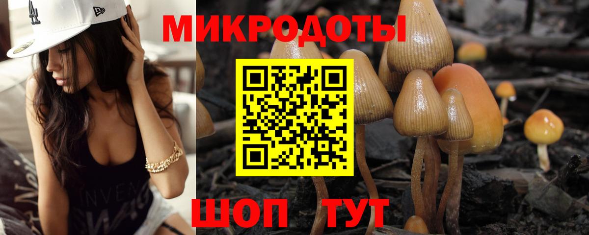 Химки  Псилоцибиновые грибы Cubensis  где можно купить   Вход с VPN  Галлюциногенные грибы ЛСД 